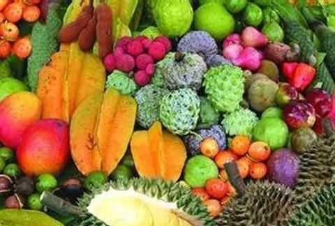 南方的水果有哪些，南方最常見的水果有哪些？圖1