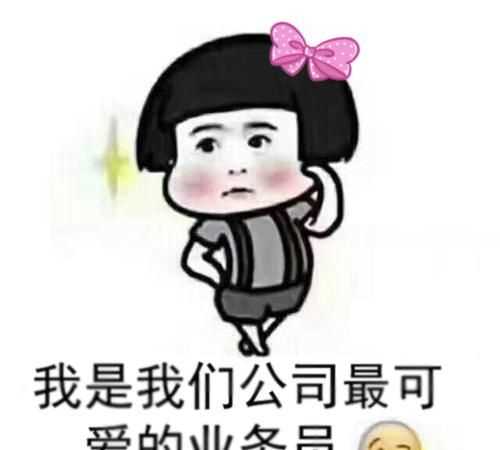 業(yè)務員是做什么的