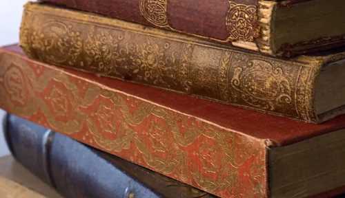 要是什么就什么造句子,要是就造句圖3