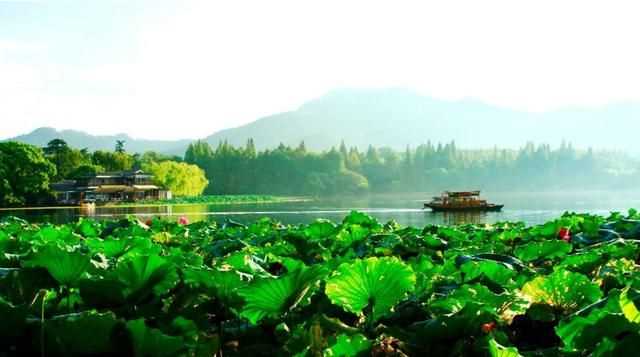 曉出凈慈寺送林子方古詩的意思，曉出凈慈寺送林子方古詩最簡單易懂的意思是什么？圖3