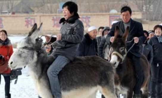 歇后語騎驢看唱本,騎驢看唱本后面一句歇后語是什么圖2