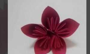花怎么折，紙花怎么做？圖7