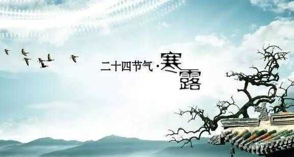 9月9日是重陽(yáng)節(jié)還是九月初九是重陽(yáng)節(jié)