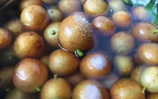 黃皮怎么保鮮，石黃皮怎么保存？圖3