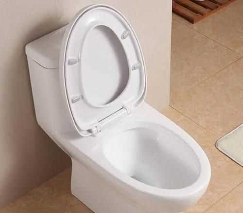 一般家里的馬桶多久更換一次比較好