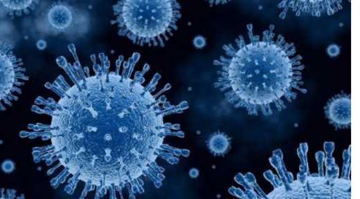 新冠病毒英文名稱covid-9怎么讀,披薩的英文發(fā)音是什么圖2