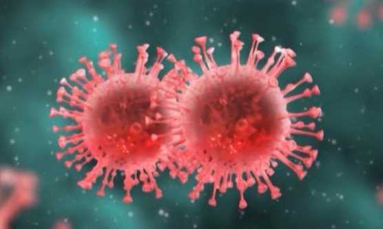 新冠病毒英文名稱covid-9怎么讀,披薩的英文發(fā)音是什么圖4