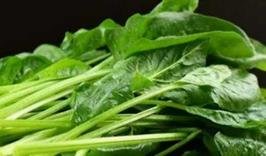 菠菜是發(fā)物,菠菜是發(fā)物的食物嗎圖1