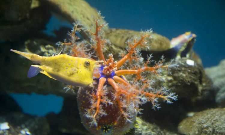陸地上的生物多還是海洋的生物多