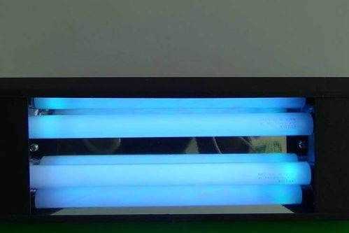 消毒燈對(duì)眼睛的傷害,人長時(shí)間照射紫外線消毒燈會(huì)怎樣圖4