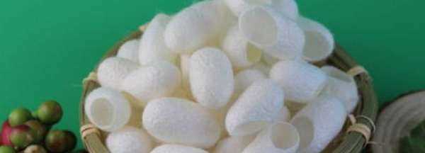 煮蠶繭要加什么東西,煮蠶繭要加什么東西嗎?圖1