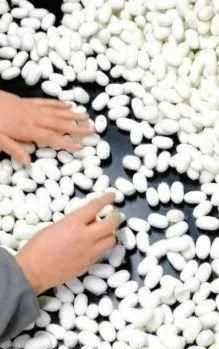 煮蠶繭要加什么東西嗎?