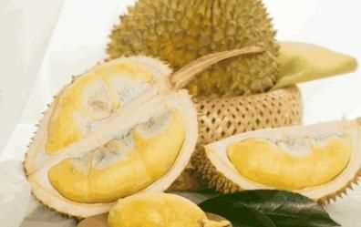 榴蓮儲存條件