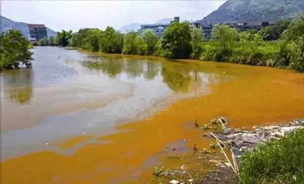 魚(yú)塘水面有一層鐵銹水怎么辦,魚(yú)塘里有銹水怎么處理視頻圖3