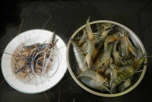 羅氏蝦煮多久能熟,白灼羅氏蝦要煮幾分鐘圖4