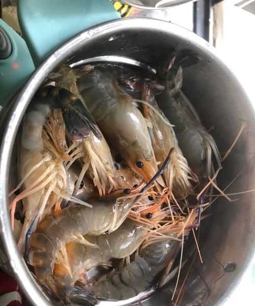 羅氏蝦需要蒸多少分鐘才能熟