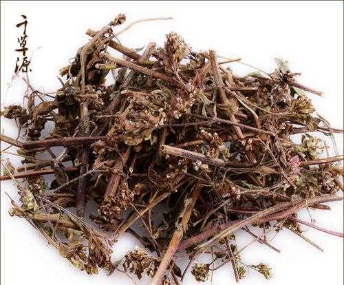 香薷是什么藥能治什么病,下面哪種生藥不具備辛溫解表的作用圖2