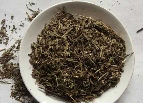 香薷是什么藥能治什么病,下面哪種生藥不具備辛溫解表的作用圖3