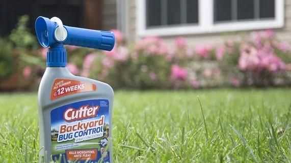 殺蟲劑對(duì)跳蚤有用嗎，殺蟲劑噴對(duì)跳蚤有效嗎？圖3