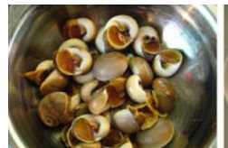 水螺煮多久才熟