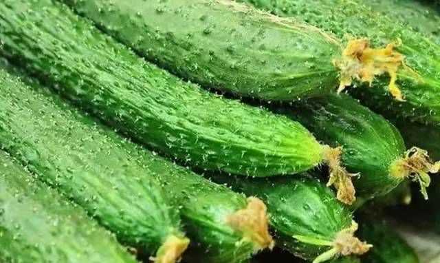 黃瓜吃多了會(huì)胖嗎?