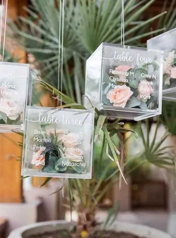 沒心沒肺，做個沒心沒肺的人？圖1