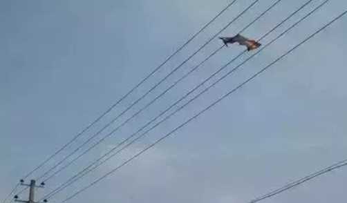 高壓線多少米無輻射,高壓線多少米無輻射 國外標(biāo)準(zhǔn)圖1