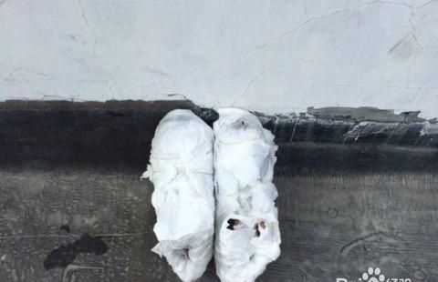 黑色鞋子曬黃了怎么變回來