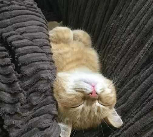 什么的睡覺填空詞語三年級