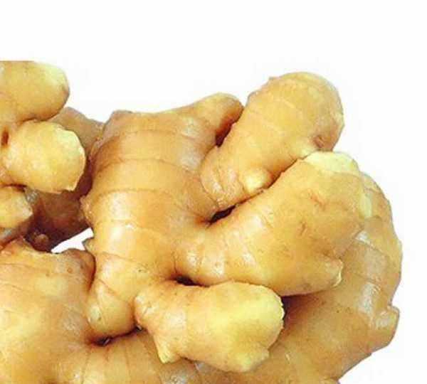 生姜怎么保存才能放最久,生姜如何長期保存方法圖2