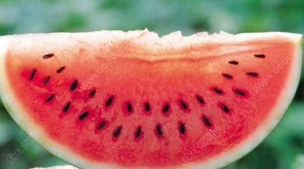 西瓜里面有哪些營養(yǎng)物質(zhì)