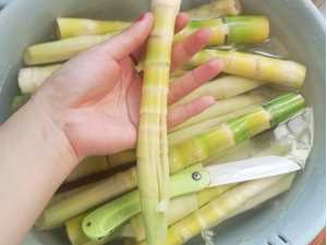 鮮竹筍如何制作筍干,筍干怎么制作圖1