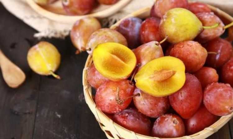 寧夏西梅需要放幾天再吃嗎