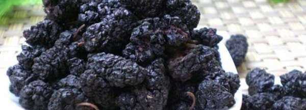 怎么用烤箱烘干桑葚,怎么用烤箱烘干桑葚 如何用烤箱烘干桑葚呢圖4