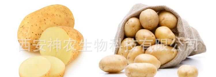 土豆的檢驗(yàn)方法是什么