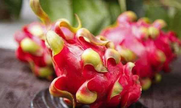 火龍果怎樣保存時間長,火龍果的存放保鮮方法圖3