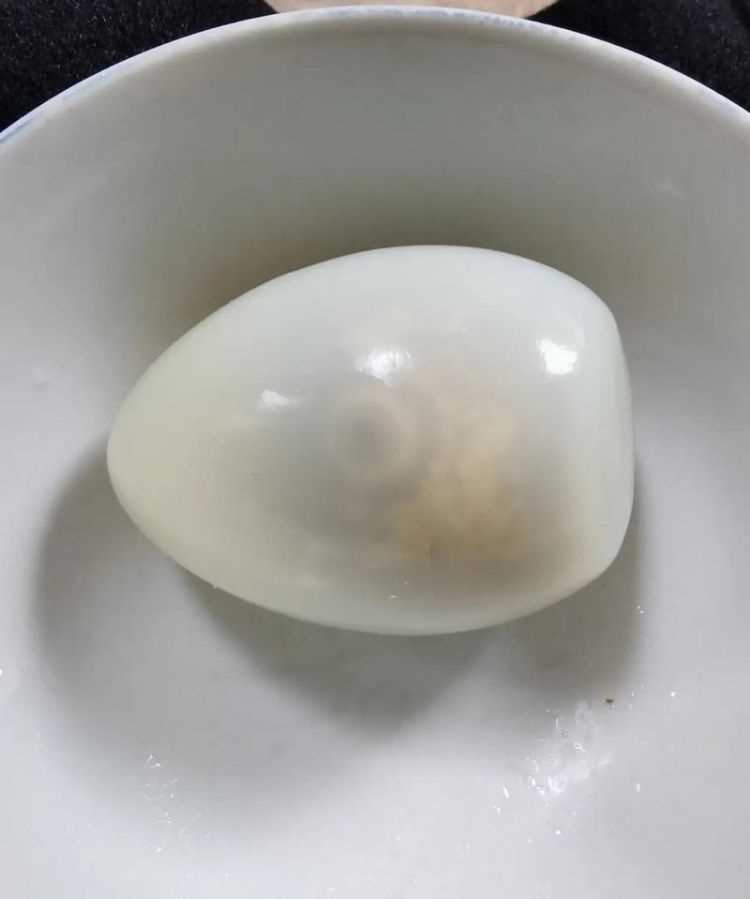 對(duì)雞蛋過(guò)敏的人可以吃鵝蛋嗎