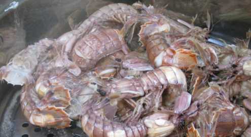 皮皮蝦蒸多久才熟,蒸皮皮蝦需要蒸多長時(shí)間能熟圖6