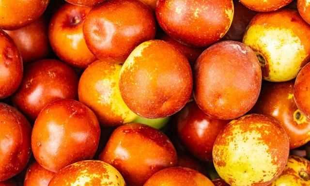 新鮮冬棗如何保存方法