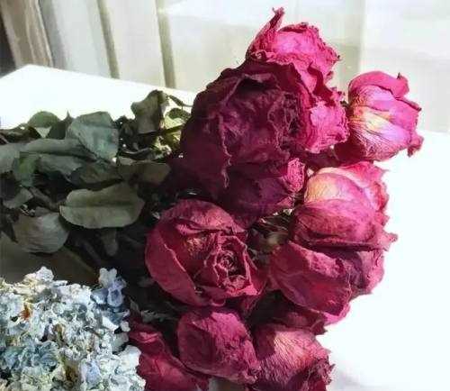 怎么做干花可以保持顏色,做干花怎么保存花的顏色圖5
