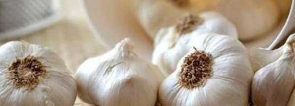 新蒜如何變成老蒜,新蒜頭怎么曬成老蒜圖2