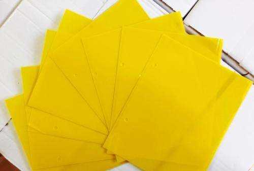 怎樣消滅家里的蟑螂,家里有蟑螂怎樣能徹底消滅掉圖8