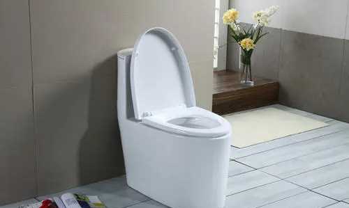 馬桶會(huì)反味,馬桶經(jīng)常反味,晚上特別臭圖1