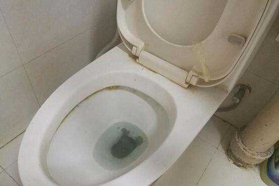 馬桶會(huì)反味,馬桶經(jīng)常反味,晚上特別臭圖8