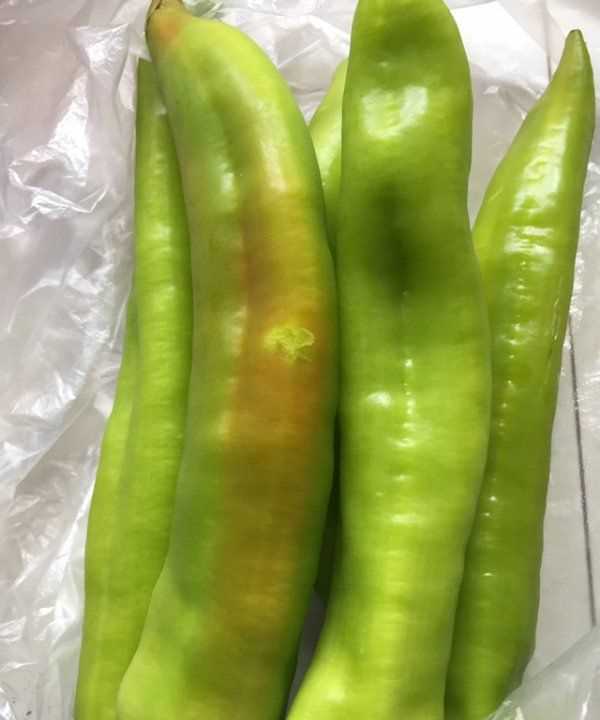水果青椒辣,青椒算辛辣食物么圖2
