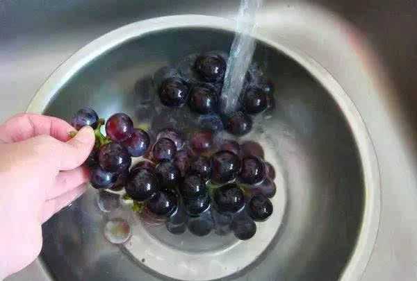 洗過的葡萄隔夜還能吃嗎沒有放冰箱里