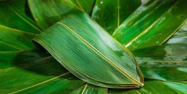 粽葉為什么要用開(kāi)水煮,煮包粽子的葉子是開(kāi)水下鍋還是冷水下鍋圖2