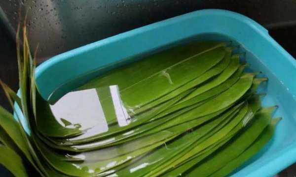 粽葉為什么要用開(kāi)水煮,煮包粽子的葉子是開(kāi)水下鍋還是冷水下鍋圖4