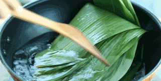 粽子葉為什么要煮過(guò)才能用