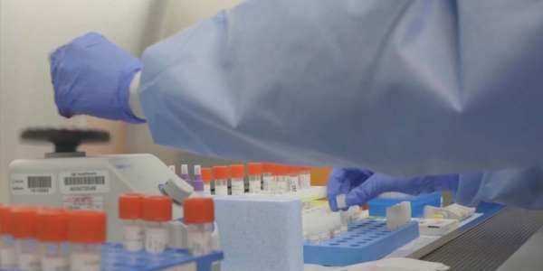 湄公河國(guó)家和日本在疾病預(yù)防和控制方面相互支持,接種新冠疫苗對(duì)國(guó)家的意義圖7